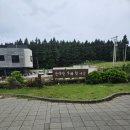 [내돈내산 솔직후기] 제주 한라산아래 첫마을 영농조합법인