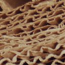 신대양제지반월(주) 이미지