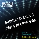 2011 04 30 Sat BUDGIE LIVE " 노이지,제이,레이디메이드,롤링치킨스" 이미지