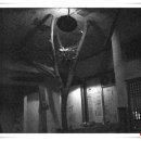 팔육상회 이미지