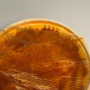 깨봉이 국물 떡볶이 이미지