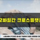 와일드PC 이미지