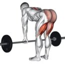 서문헬스 이미지