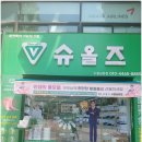슈올즈팔달