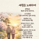 세월을 노래하며 / 이수만시인 (사) 서울시소기업소상공인연합회 초대회장 이미지