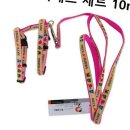펫스 이미지