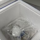 파파농수산