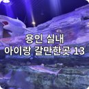 용인 아이랑 실내 갈만한곳 13