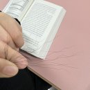 돼지꼬리미용실 이미지