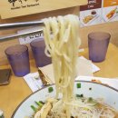 국수나무 이미지