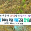 조양강 민박 이미지