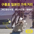 경상북도재향군인회 | 애견동반여행 동백꽃 필 무렵 촬영지 포항 구룡포 일본인 가옥거리 가는방법 (버스 시간표) 짐보관