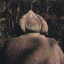 신접리 고인돌 | 여주 신륵사2