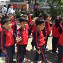 강동초교병설 이미지