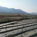 풍조리마을회관 이미지