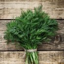 딜-Dill 이미지