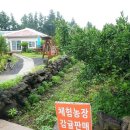 쉴띠펜션