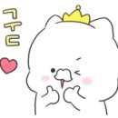 320 펫살롱 이미지