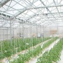 지산축산 이미지