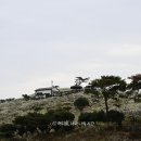 단일농장 이미지