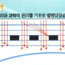 네츠