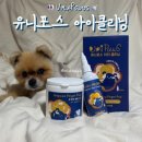 지우개클리닝 | [유니포스] 유니포스아이클리닝_강아지 눈물자국제거