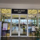 옥상카페 | 웁스어데이지 송도 송현아 옥상 카페 방문 후기