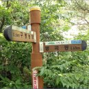 야실 이미지