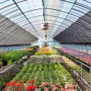 허브꽃농원 이미지