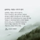 사람나무 이미지