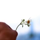 불행의 시작은 비교로부터 이미지