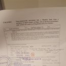 프라하동물병원 이미지