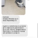 동부세탁 | 경기 베베드클린 온라인 세탁 신청 이용 후기 (가격, 세탁기간, 수거부터 배송까지)