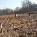 오솔길 농장 이미지