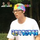 찐 하루살이 이미지