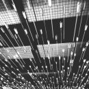 직업상담사 이론 - 2차 직업상담실무 이미지