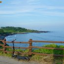 예래동-7 이미지