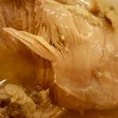 청기와오리촌 이미지