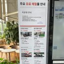 서울근교 가볼만한곳) 용인 삼성화재 모빌리티뮤지엄 후기