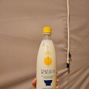 달빛막걸리 | 편의점 막걸리 추천 달빛유자막걸리 내돈내산 후기