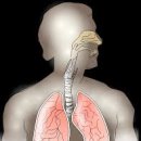 매클립스 이미지