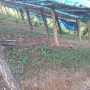 이산농장 이미지