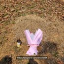 큰고을농원 이미지