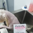 두리그루밍 이미지