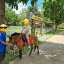 히든빌리지 이미지