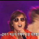 컨추리꼬꼬 - 정선군 칠현로 84 | 컨추리꼬꼬