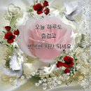 금송약국 이미지