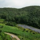 동리 농장 이미지