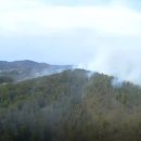 불은초교 이미지