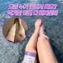 피부까지 케어하는 다이어트효과에 좋다고 소문난 수국잎 락토페린 이미지